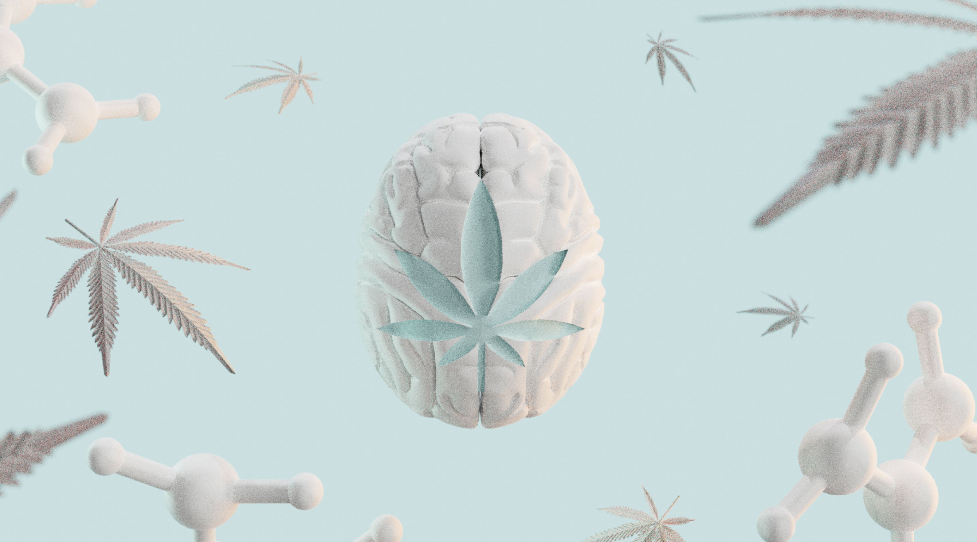 Illustrasjon av hjerne og cannabisblader