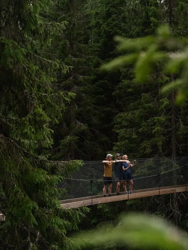 Tre personer står på en hengebro i skogen