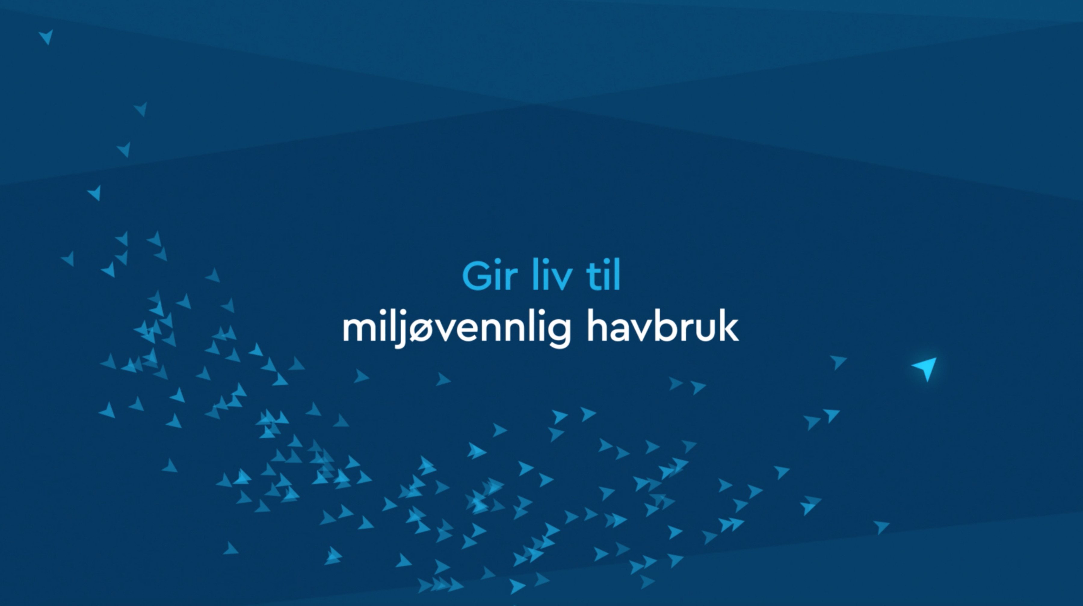 Igaidi gir liv til miljøvennlig havbruk TRY Apt-_1_